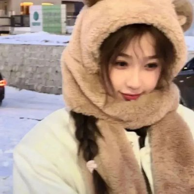 企鹅之岛:福克兰